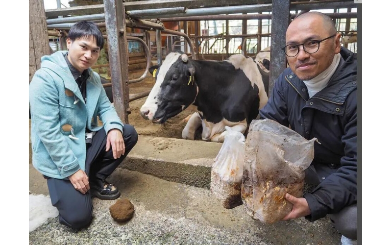 日本馆山市蘑菇农场将废弃菌包再利用