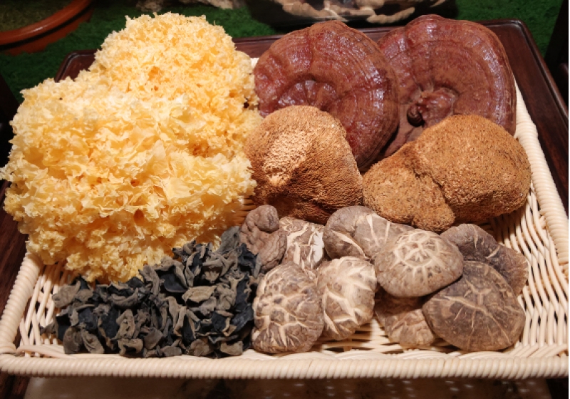 Dried mushrooms